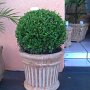 decoracao (3)